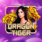 Dragon Tiger phtaya live casino